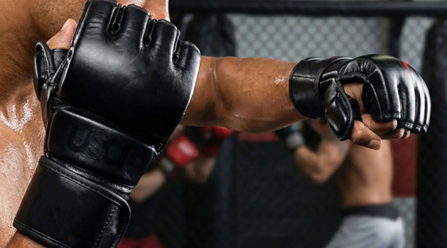 MMA Gloves